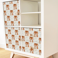 Möbelfolie für IKEA KALLAX - Kleine Tiger