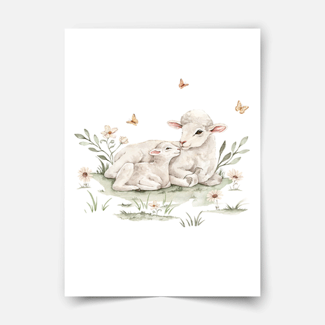 Poster Landtiere - Magischer Bauernhof - Schäfchen