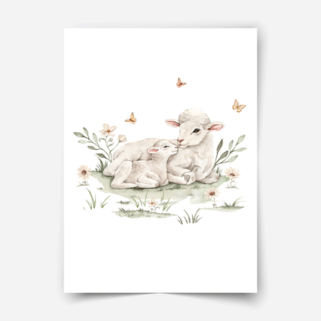 Poster Landtiere - Magischer Bauernhof - Schäfchen