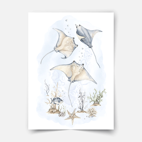 Poster Unterwasserwelt - Ozeanträume - Mantarochen
