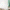 Dot wall stickers - Pastel mint watercolour dots