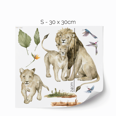 Jungle wall stickers - Tropical safari - lions