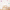 Flower wall stickers - Happy blooms (mustard-pastel shades)