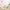Flower wall stickers - Happy blooms (retro chic)