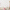 Mini-shells wall stickers - Dusty rose