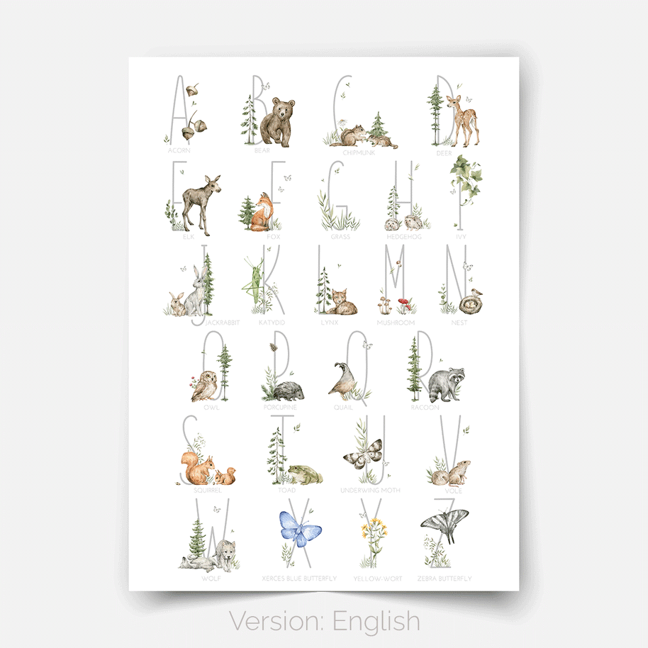 Poster Waldtiere - Magischer Wald - Alphabet